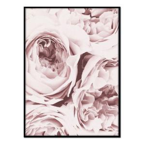 Affiche avec cadre noir - Roses - 50x70