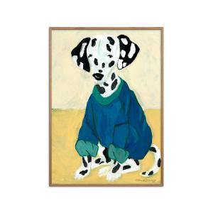 Affiche Dalmatian in Sweatshirt" Cadre en Chêne - 30x40 cm"