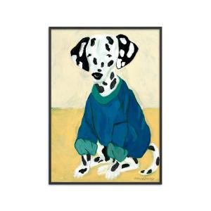 Affiche Dalmatian in Sweatshirt" Cadre noir - 30x40 cm"