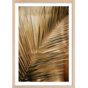 Affiche déco golden palm avec cadre bois 60x90 cm