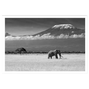 Affiche éléphant et kilimanjaro sans cadre 30x20 cm