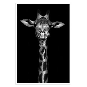Affiche girafe haute en portrait sans cadre 20x30cm