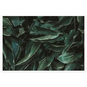 Affiche green leaves 90x60cm