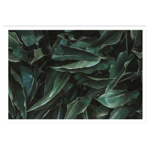 Affiche green leaves sans cadre 60x40 cm