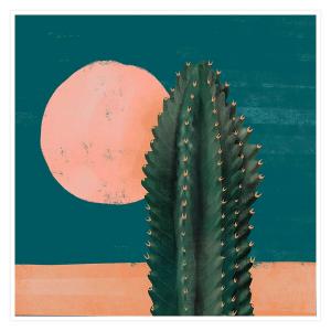 Affiche illustration cactus et soleil rose 30x30cm