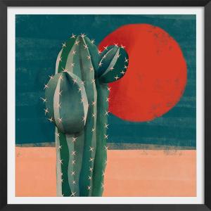 Affiche illustration cactus et soleil rouge avec cadre noir…