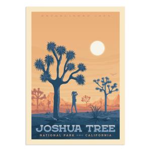 Affiche Joshua Tree National Park  21x29,7 cm