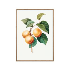 Affiche Peaches " Cadre en chêne - 30x40 cm"