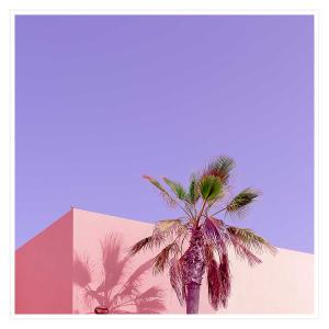Affiche photo pink palma sans cadre 50x50cm