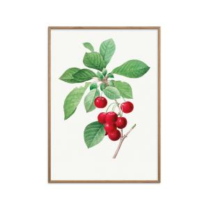 Affiche Red cherry " Cadre en chêne - 50x70 cm"