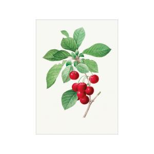 Affiche Red cherry" sans cadre - 30 x 40 cm"