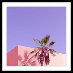 Affiche sous cadre noir photo pink palma 80x80cm