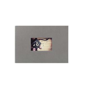 Album Photo traditionnel gris 60 pages 180 photos 10x15