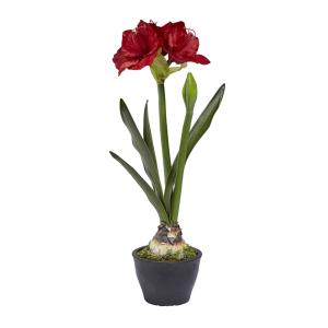 Amaryllis en pot artificielle rouge H70