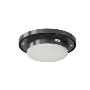 Ampoule LED rechargeable  Blanc D 13.3 H 3.5 cm