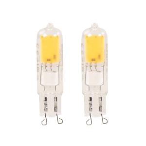 Ampoules G9 30W (x2)