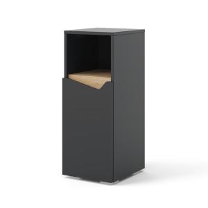 Armoire avec porte et compartiment ouvert Anthracite 30x74.…