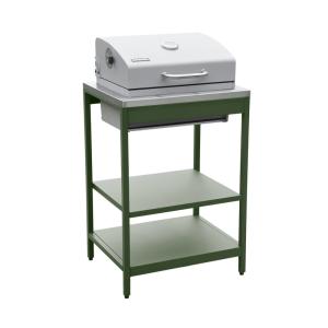 Barbecue grill charbon de bois 2 étagères vert