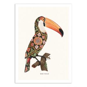 BOHO TOUCAN - Affiche d'art 50 x 70 cm