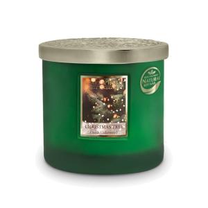 Bougie ellipse 2 mèches sapin de noël