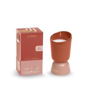 Bougie rechargeable 220g Iris Cachemire