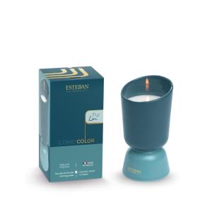Bougie rechargeable 220g Pur Lin