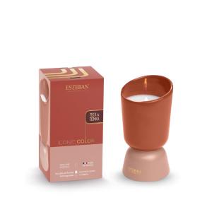 Bougie rechargeable 220g Teck & Tonka
