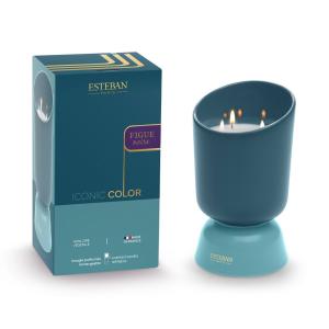 Bougie rechargeable 700g Figue noire