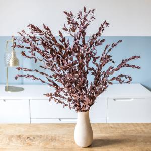Bouquet de fleurs séchées : Eucalyptus parvifolia rouge 150…