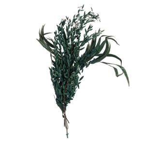 Bouquet de fleurs séchées vertes
