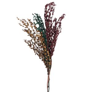 Bouquet de fleurs séchées vertes, jaunes et rouges