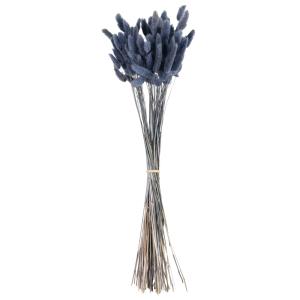 Bouquet de lagurus ovatus séché bleu violine
