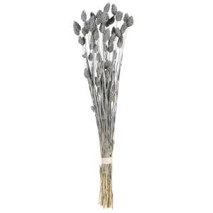 Bouquet de phalaris séchés bleu