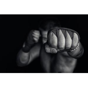 BOXE left wing impression sur aluminium 120x80 cm