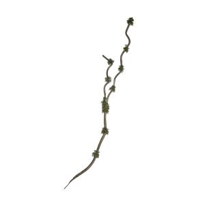 Branche avec mousse artificielle verte et marron H195