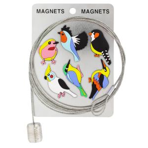 Câble porte photos et magnets