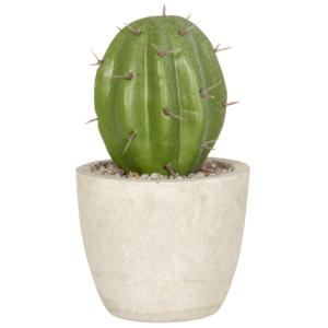 Cactus artificiel avec pot beige H11