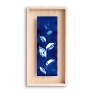 Cadre en bois cyanotype orme 40x20cm