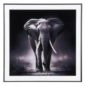 Cadre et photo d'art noir et blanc eléphant en verre noir