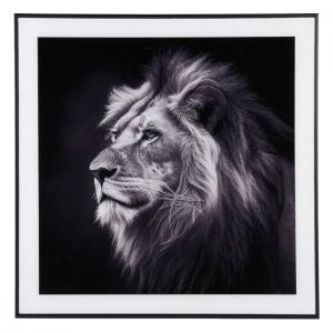 Cadre et photo d'art noir et blanc lion en verre noir