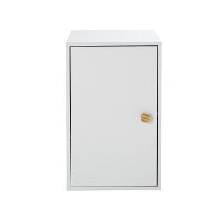 Caisson pour bureau modulable 1 porte blanc