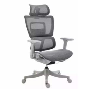 Chaise bureau ergonomique réglable accoudoirs 4D gris 64x51…