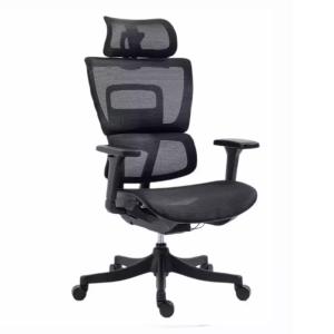 Chaise bureau ergonomique réglable accoudoirs 4D noir 64x51…