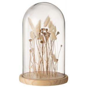 Cloche avec fleurs séchées en verre transparent 21x21x37 cm…