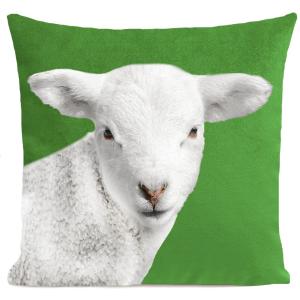 Coussin animal mouton suédine vert 40x40cm