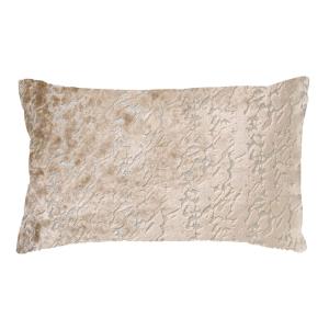 Coussin Beige 30x50 cm Nature