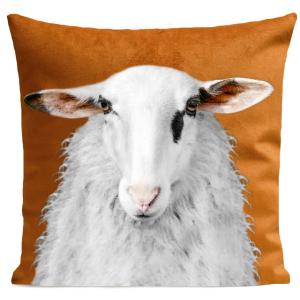 Coussin campagne mouton suédine orange 40x40cm