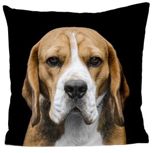 Coussin chien beagle suédine noir 40x40cm