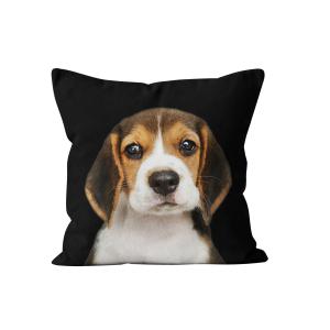 Coussin chien Beagle velours noir