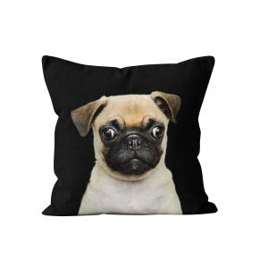 Coussin  chien carlin velours noir